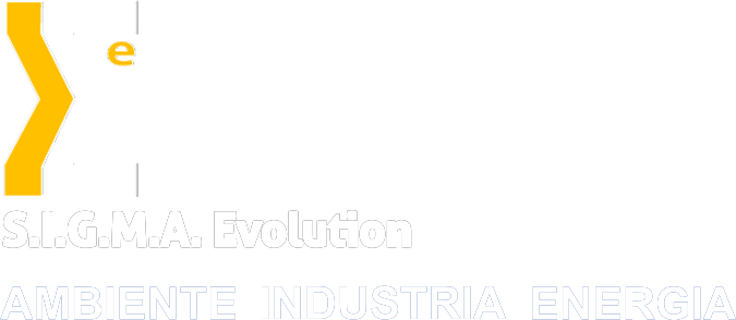 S.I.G.M.A. Evolution